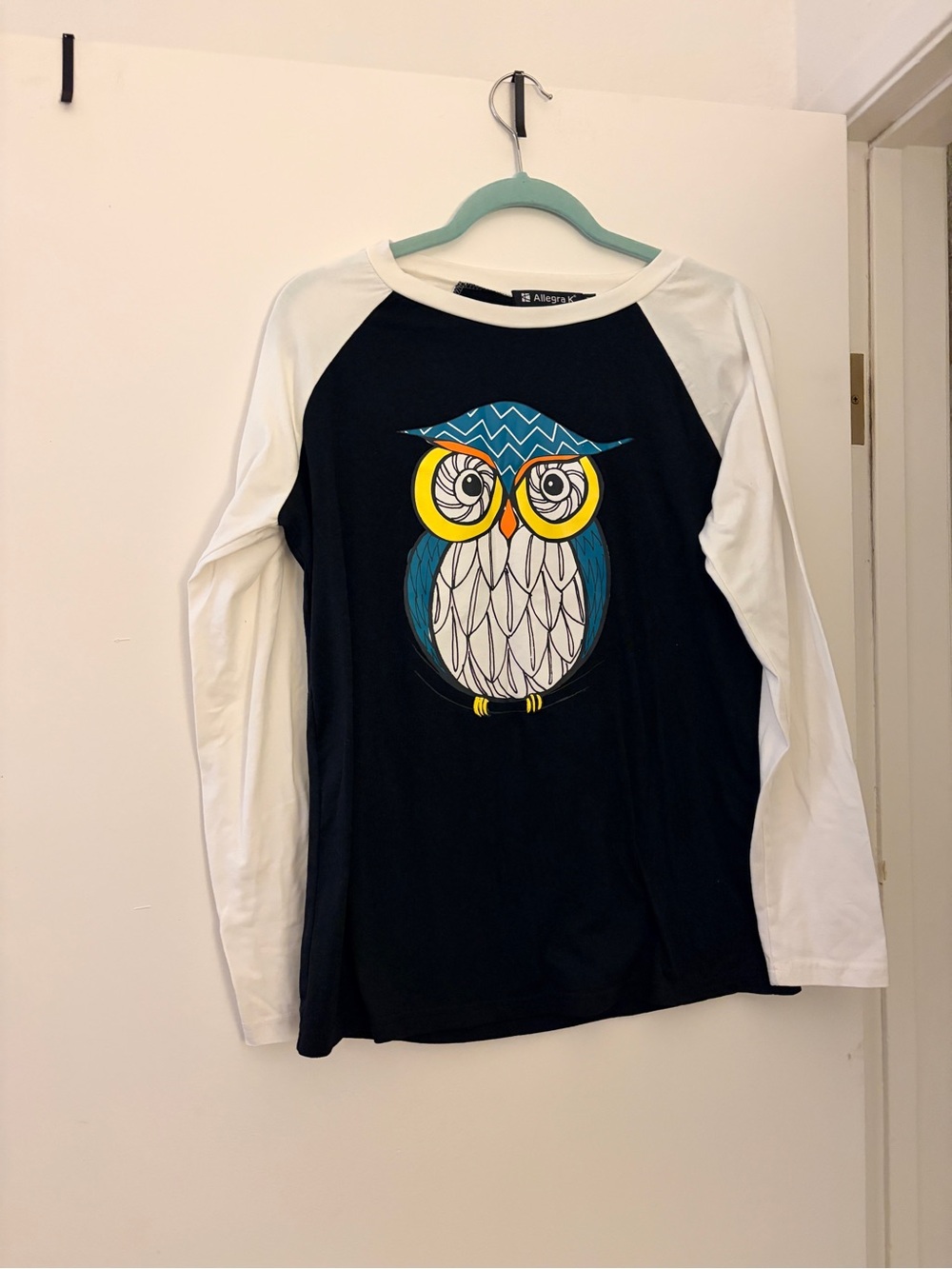 NWOT Owl Raglan tee